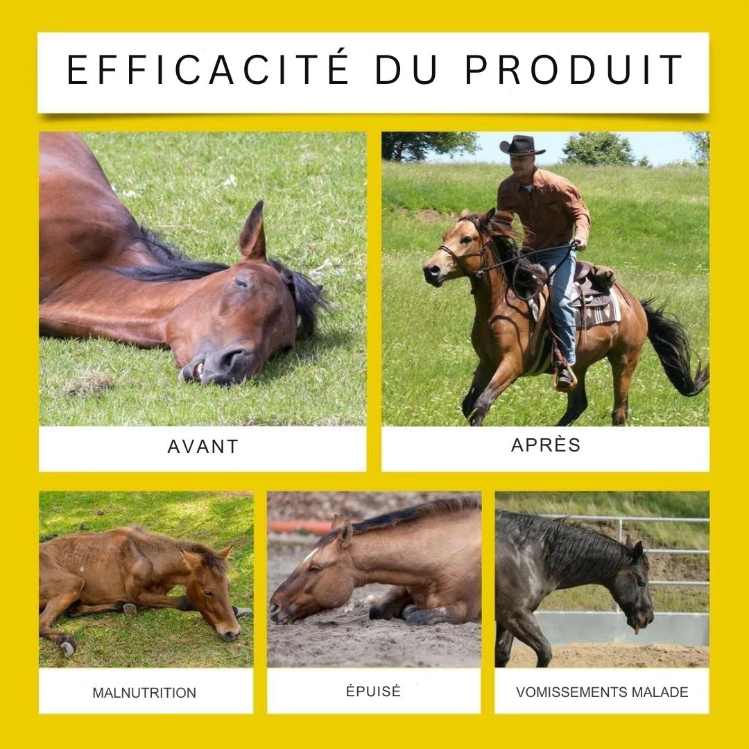 Pâte vermifuge pour cheval Durvet