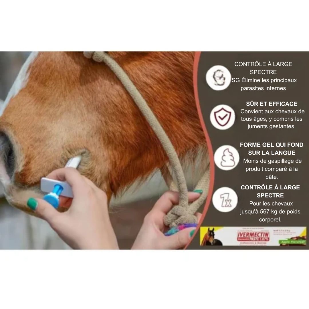 Pâte vermifuge pour cheval Durvet
