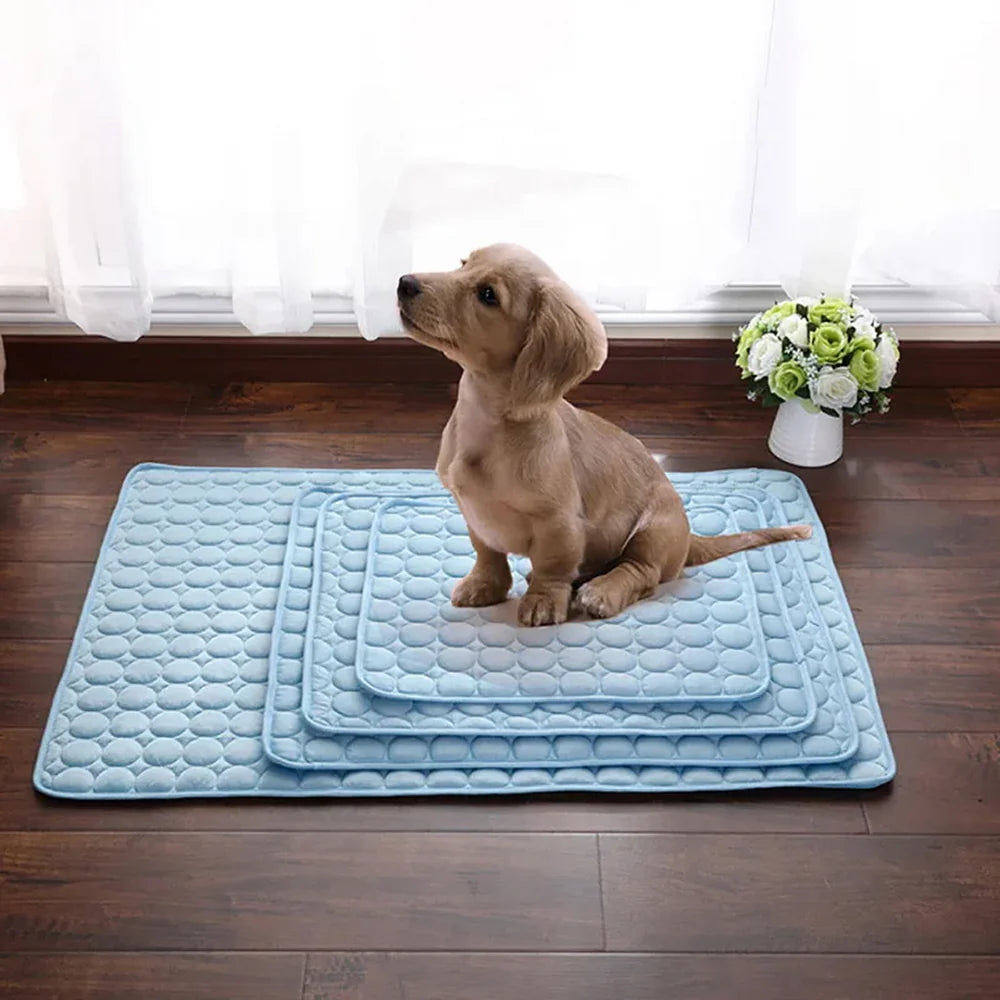 Porteparis Tapis rafraîchissant