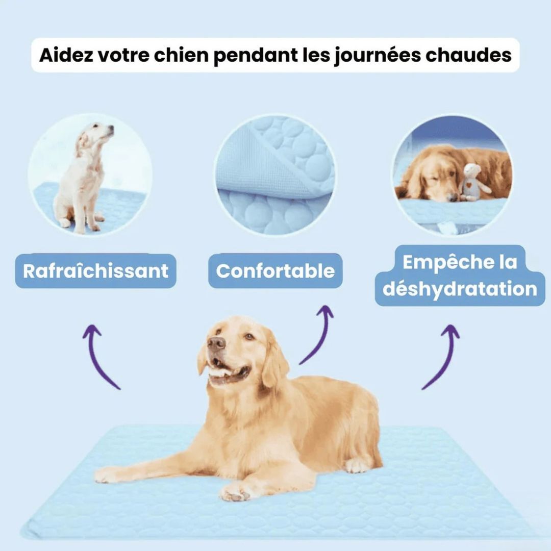 Porteparis Tapis rafraîchissant