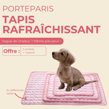 Porteparis Tapis rafraîchissant