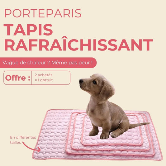 Porteparis Tapis rafraîchissant