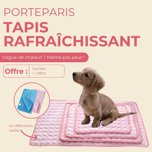 Porteparis Tapis rafraîchissant