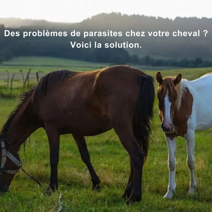 Pâte vermifuge pour cheval Durvet