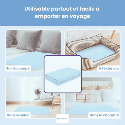 Porteparis Tapis rafraîchissant