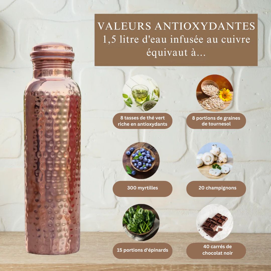 Bouteille en Cuivre Pur Ayurvédique de l’Himalaya