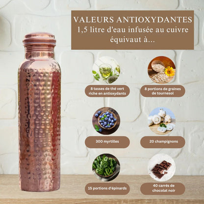 Bouteille en Cuivre Pur Ayurvédique de l’Himalaya