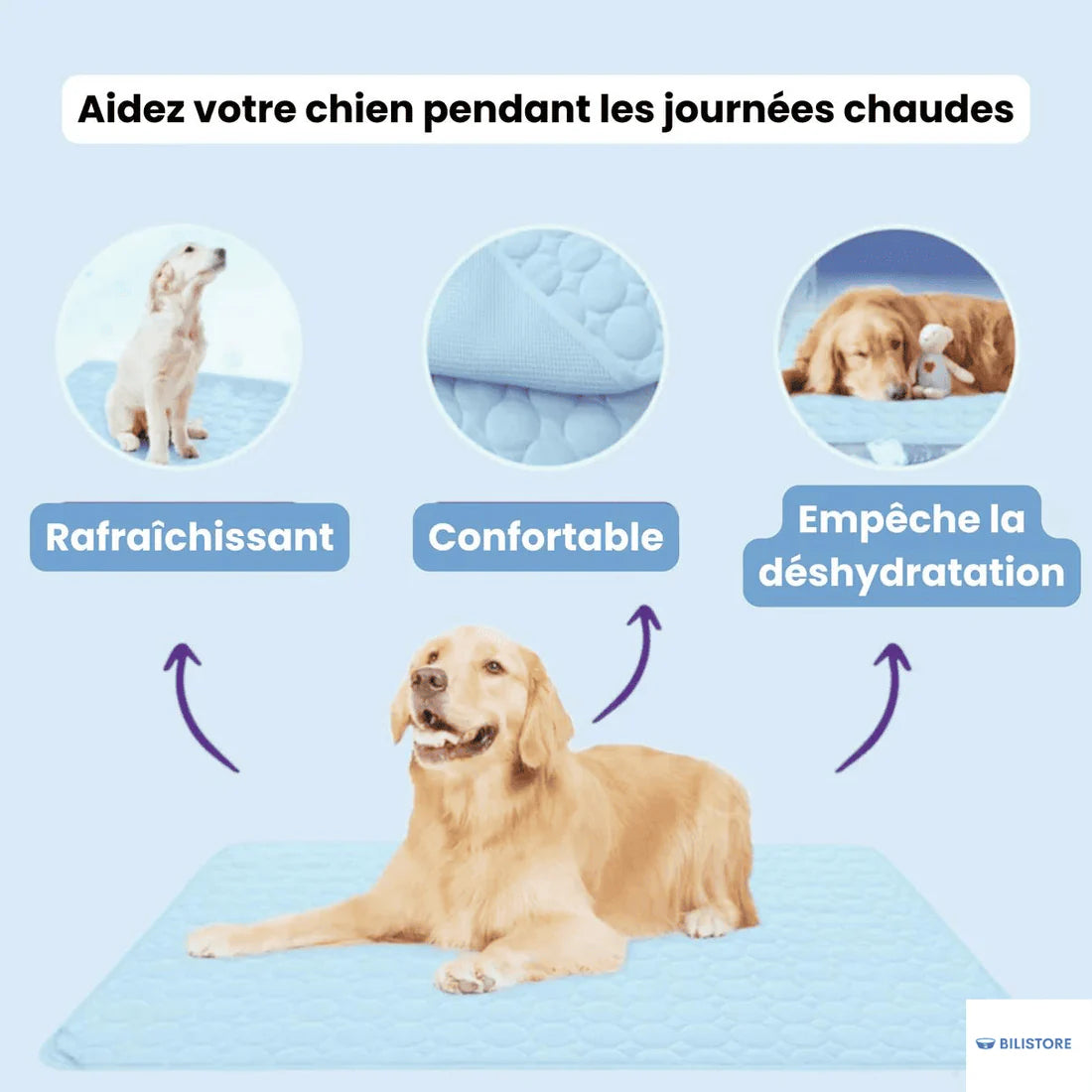 Porteparis Tapis rafraîchissant