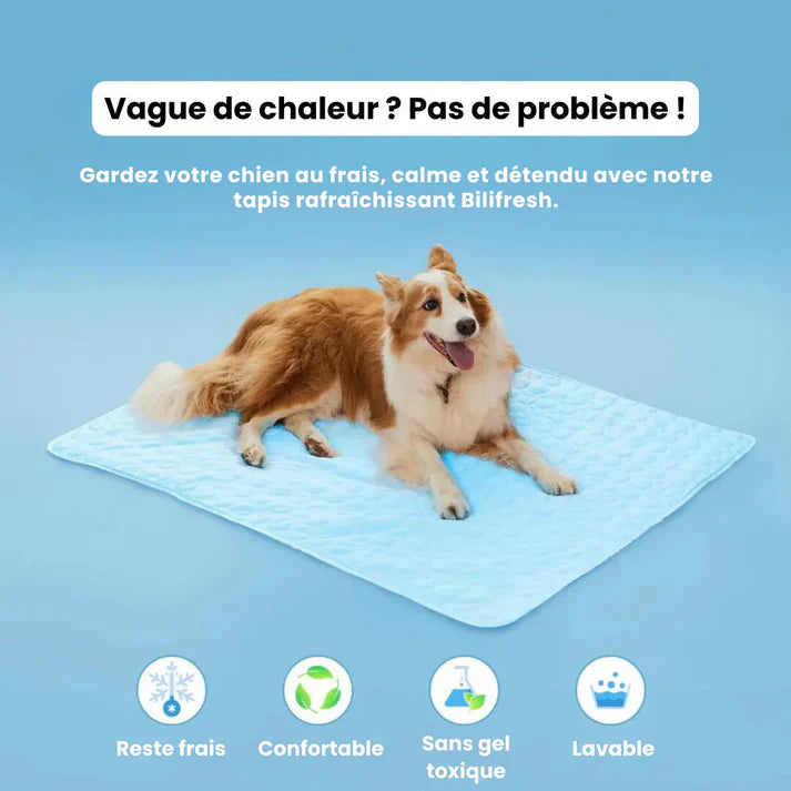 Porteparis Tapis rafraîchissant