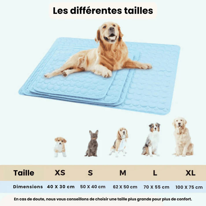 Porteparis Tapis rafraîchissant