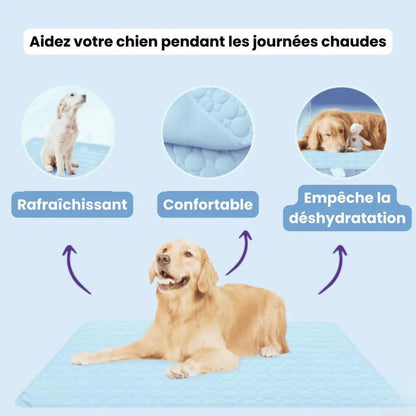 Porteparis Tapis rafraîchissant
